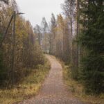 Wilderness
