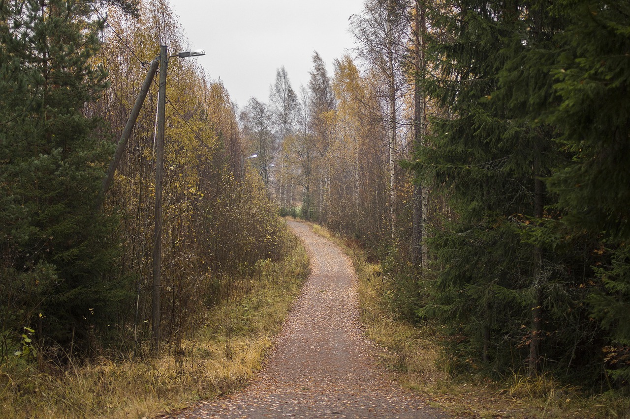 Wilderness