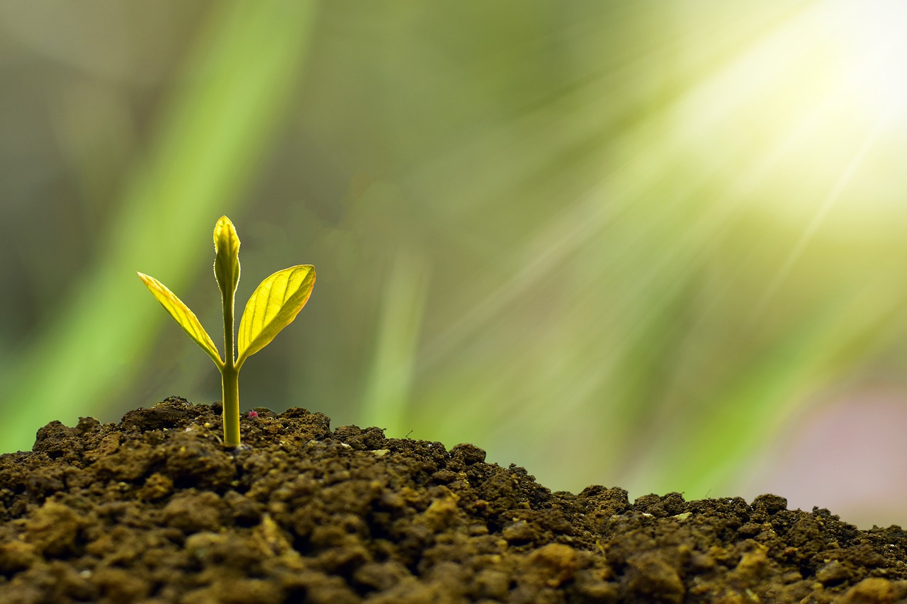 CWCS Advocacy Highlights