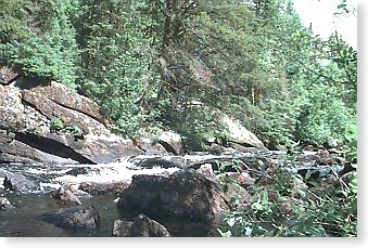 Superior National Forest